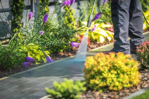 Best Residential Exterior Washing  in Sleepy Hollow, CA